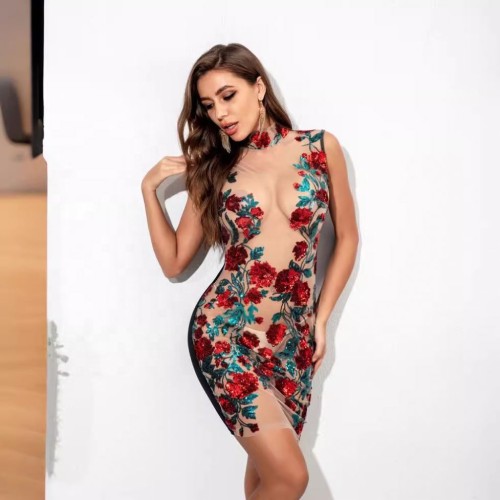 Women's Sexy See-through Mesh Sequin Dress