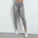 New Leopard Print Womens Yoga Wear Beauty Back Shockproof Sports Bra High Waist Hip Lifting Yoga Leggings Women's Fitness Sets