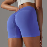 High Quality Seamless Sports Gym Pants Solid Scrunch Butt Lifting Tummy Control Quick Drying Breathable Yoga Shorts for Women