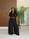 Women's Casual Vacation Style Summer Collar Short Top High Waist Loose Pants 2 Piece Set