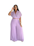 Women's Casual Vacation Style Summer Collar Short Top High Waist Loose Pants 2 Piece Set