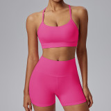 Custom Wholesale Activewear Women Sports Gym Fitness Sets Wear Yoga Sports Bra Top Fitness Workout Clothes for Women