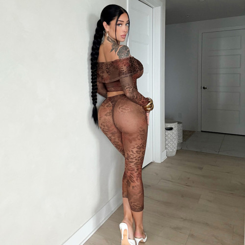 Sexy Stretch Leopard Print Mesh Two-piece Legging Set With off Shoulder Long Sleeve Crop Top