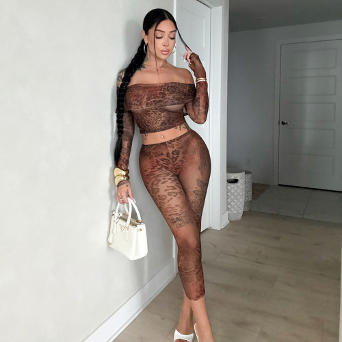 Sexy Stretch Leopard Print Mesh Two-piece Legging Set With off Shoulder Long Sleeve Crop Top