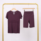 LULU3.0 High-Elasticity Sports Round-Neck Short-Sleeve Five-Pocket Pants Set for Women, Quick-Dry Running Training T-Shirt, Yoga Outfit for Women