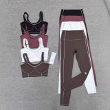 Spring and summer yoga set new product European and American cross-border foreign trade fashion high-elastic quick-dry sports vest set