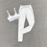 Early spring European and American Kendall Jenner style sports set: yoga fitness Pilates bra, tight tank top, and long pants