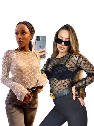 [Hot Sale - Promotion] Y71199 European and American Women's Clothing Cross-Border Sexy See-Through Mesh Dress