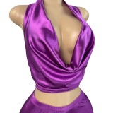 HR25035 European and American fashion women's clothing satin halter neck tie deep V-neck top and satin pants two-piece set