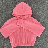 HR8201 European and American women's clothing, spring and winter fleece-lined sports casual set, hoodie + jogger pants two-piece set