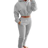HR8201 European and American women's clothing, spring and winter fleece-lined sports casual set, hoodie + jogger pants two-piece set