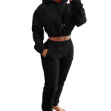 HR8201 European and American women's clothing, spring and winter fleece-lined sports casual set, hoodie + jogger pants two-piece set