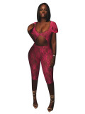 HR24011 European and American women's clothing, sexy lace large U-neck cropped jumpsuit (fixed price, no price changes)