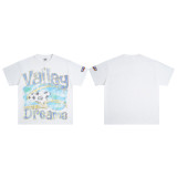 Cross-border American fashion brand VALE's new trendy American street hip-hop loose-fit full-print cotton short-sleeve T-shirt