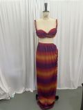 Beach vacation style swimsuit for women, new spring collection, sexy backless halter neck strap bodycon skirt two-piece set