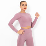 Clearance Sale: Trendy Seamless Knit Sexy Solid Color Long Sleeve Top Yoga Wear for Women, Breathable T-Shirt for Sports, Running, and Fitness