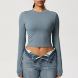 In-stock cross-border tight-fitting high-elastic quick-dry T-shirt yoga wear Pilates running sports fitness yoga long-sleeve top