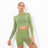 Clearance Sale: Trendy Seamless Knit Sexy Solid Color Long Sleeve Top Yoga Wear for Women, Breathable T-Shirt for Sports, Running, and Fitness