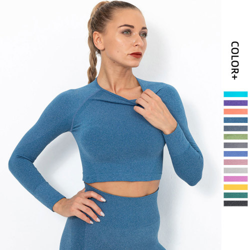 Clearance Sale: Trendy Seamless Knit Sexy Solid Color Long Sleeve Top Yoga Wear for Women, Breathable T-Shirt for Sports, Running, and Fitness