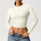 In-stock cross-border tight-fitting high-elastic quick-dry T-shirt yoga wear Pilates running sports fitness yoga long-sleeve top