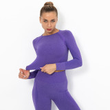 Clearance Sale: Trendy Seamless Knit Sexy Solid Color Long Sleeve Top Yoga Wear for Women, Breathable T-Shirt for Sports, Running, and Fitness