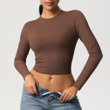 In-stock cross-border tight-fitting high-elastic quick-dry T-shirt yoga wear Pilates running sports fitness yoga long-sleeve top