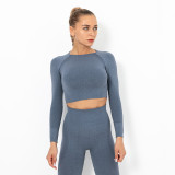 Clearance Sale: Trendy Seamless Knit Sexy Solid Color Long Sleeve Top Yoga Wear for Women, Breathable T-Shirt for Sports, Running, and Fitness