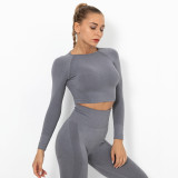 Clearance Sale: Trendy Seamless Knit Sexy Solid Color Long Sleeve Top Yoga Wear for Women, Breathable T-Shirt for Sports, Running, and Fitness