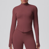 Cross-border seamless solid color tight-fitting high-elastic breathable stand-up collar zip-up jacket for women's sports, running, fitness, and yoga