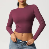 In-stock cross-border tight-fitting high-elastic quick-dry T-shirt yoga wear Pilates running sports fitness yoga long-sleeve top
