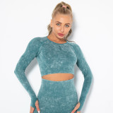 In stock!New European and American style sexy fitness wear for women, tight-fitting, quick-drying, washable sports running long-sleeve top, yoga wear