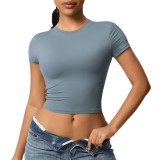 Cross-border double-sided nylon casual tight-fitting quick-dry Pilates top yoga shirt short-sleeve running fitness sports T-shirt