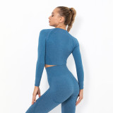 Clearance Sale: Trendy Seamless Knit Sexy Solid Color Long Sleeve Top Yoga Wear for Women, Breathable T-Shirt for Sports, Running, and Fitness