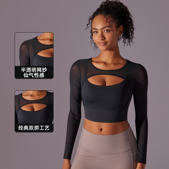 Cross-border mesh semi-transparent sexy double-panel tight-fitting long-sleeve elastic yoga sports fitness top for women