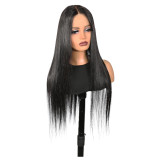 European and American wigs made of real human hair for women, 2X4 Straight lace front wigs, cross-border