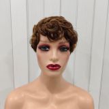 Pixie Cut Wigs 100% Human Hair Wigs Short Curly Pixie