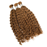 European and American long curly human hair wigs, deep curly human hair, European and American cross-border wigs
