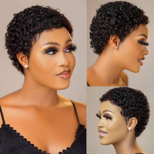Human Hair 100% Short Curly Wig Brazilian High Quality wig