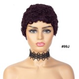 Human Hair 100% Short Curly Wig Brazilian High Quality wig