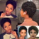 Human Hair 100% Short Curly Wig Brazilian High Quality wig