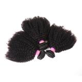 Brazilian Virgin Human Hair Afro Kinky Curly Hair Extensions African Style