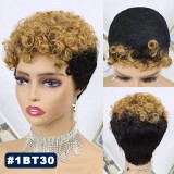 100% Human Hair Short Curly Wig Brazilian Color hair