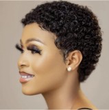 Human Hair 100% Short Curly Wig Brazilian High Quality wig