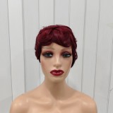Pixie Cut Wigs 100% Human Hair Wigs Short Curly Pixie