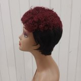 100% Human Hair Short Curly Wig Brazilian Color hair