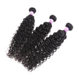 Peruvian Human Hair Water Wave Hair Bundles