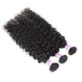 Peruvian Human Hair Water Wave Hair Bundles