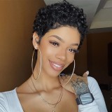 Human Hair 100% Short Curly Wig Brazilian High Quality wig