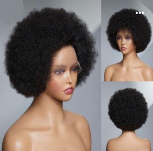 Brazilian Afro Wig 100% Human Hair 13*4 Big lace Fratal wig