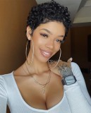 Human Hair 100% Short Curly Wig Brazilian High Quality wig